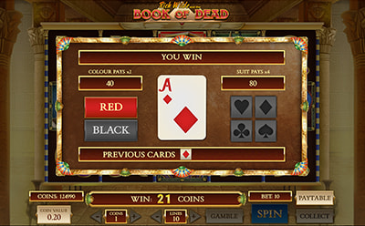 Book of Dead spēļu automāta bonusa spēle